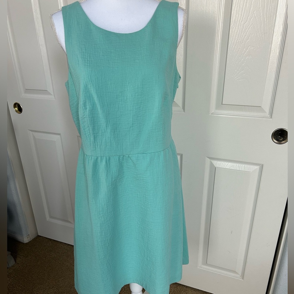 Loft dress new with tags